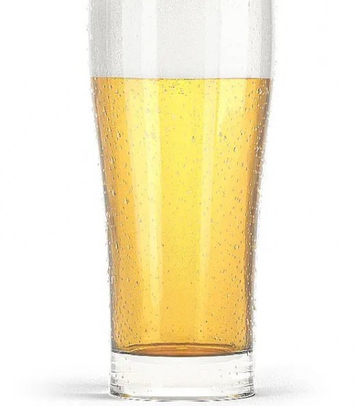 Bier Pils